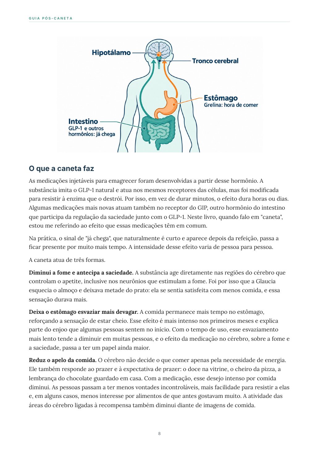 O que a caneta faz · p. 8